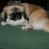 BETSIE