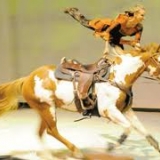 Concour animal
