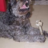 Titeuf