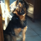 Filoo