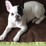 HERA