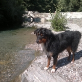 frisco