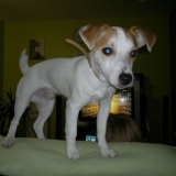 Tomy