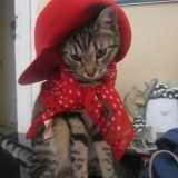 Nouschka !