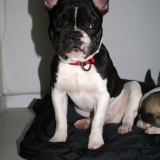 Galco