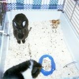Nono & Ulysse