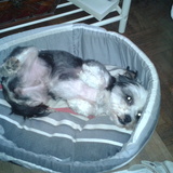 Emie