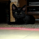 Nalha