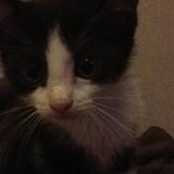 BerlioZ
