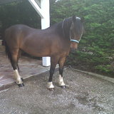 FOSBURY