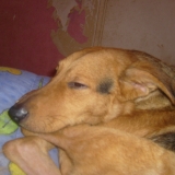 dormir !!!!!