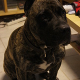 Ourko