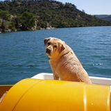 thelma