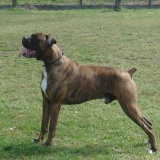 Byron