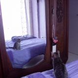 Le miroir.