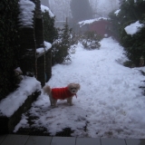 il fait froid  brrrrr