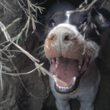 ma grande passion!!