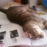 MINOU