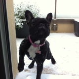 J'adore la neige 2 !!!