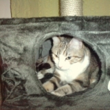 Mimi