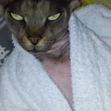Austin powers est en moi........yes baby !!!!!!!!!!!