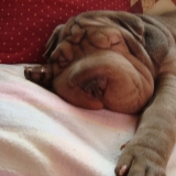 mon bb d'amour qui doooooooooort!!!