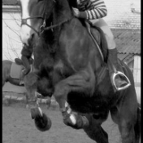Obstacle  ♥