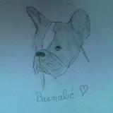 Barnabé mon loulou a moi
