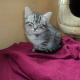 ma fille =)