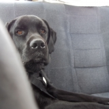 En route pour les vacances