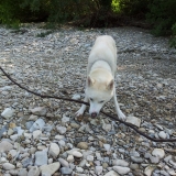 a la riviere...