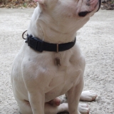 oh !!! je fait le beau ;)