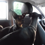 En voiture avec mon amoureux Olympe :)
