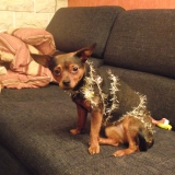 &é le soir de Noel