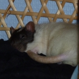 Trop chou =)