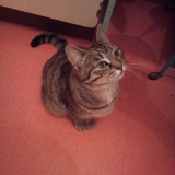 Look at me !