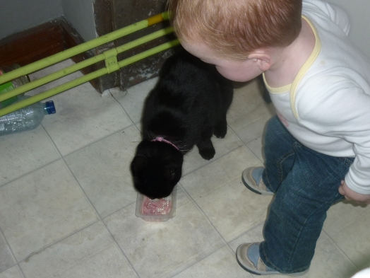 Au coucher du Soleil