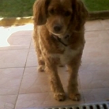Praline♥♥♥♥♥♥