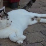 Relax ;o))))))