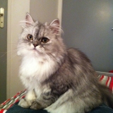 Une princesse