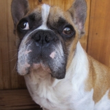 Charly