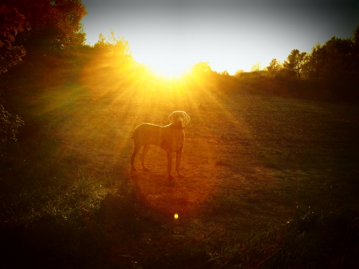 Au coucher du Soleil