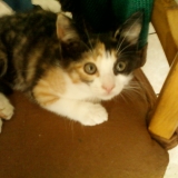 Coucou sa va ? ♥