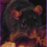 Eska