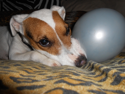 Au coucher du Soleil