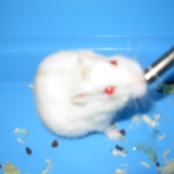 ♥ Sdipee ♥ Mon Rapide qui au en haut dans le ciel ♥