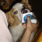 Gourmand!!