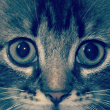Hermione