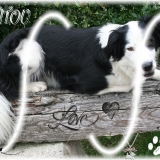 Titou