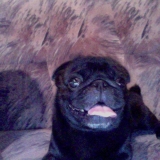 Smookie